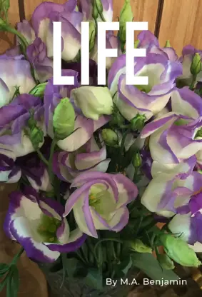 Life-1-scaled